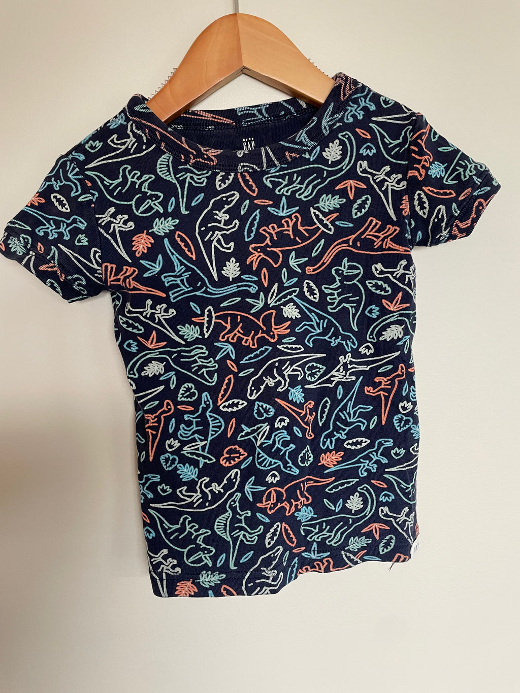 Gap Dinosaur PJ Set | 3T