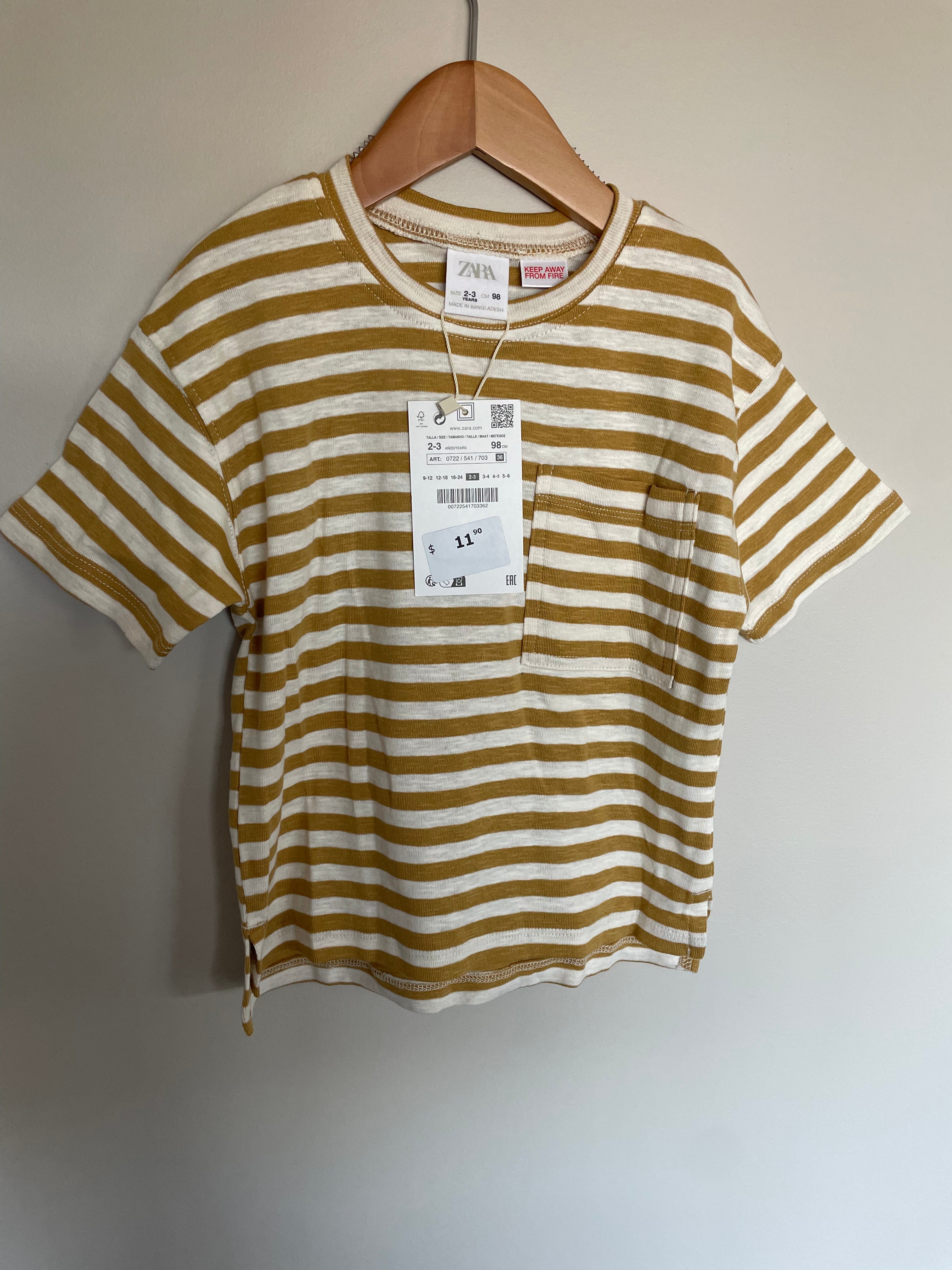 Zara Striped Tee Shirt | 3T
