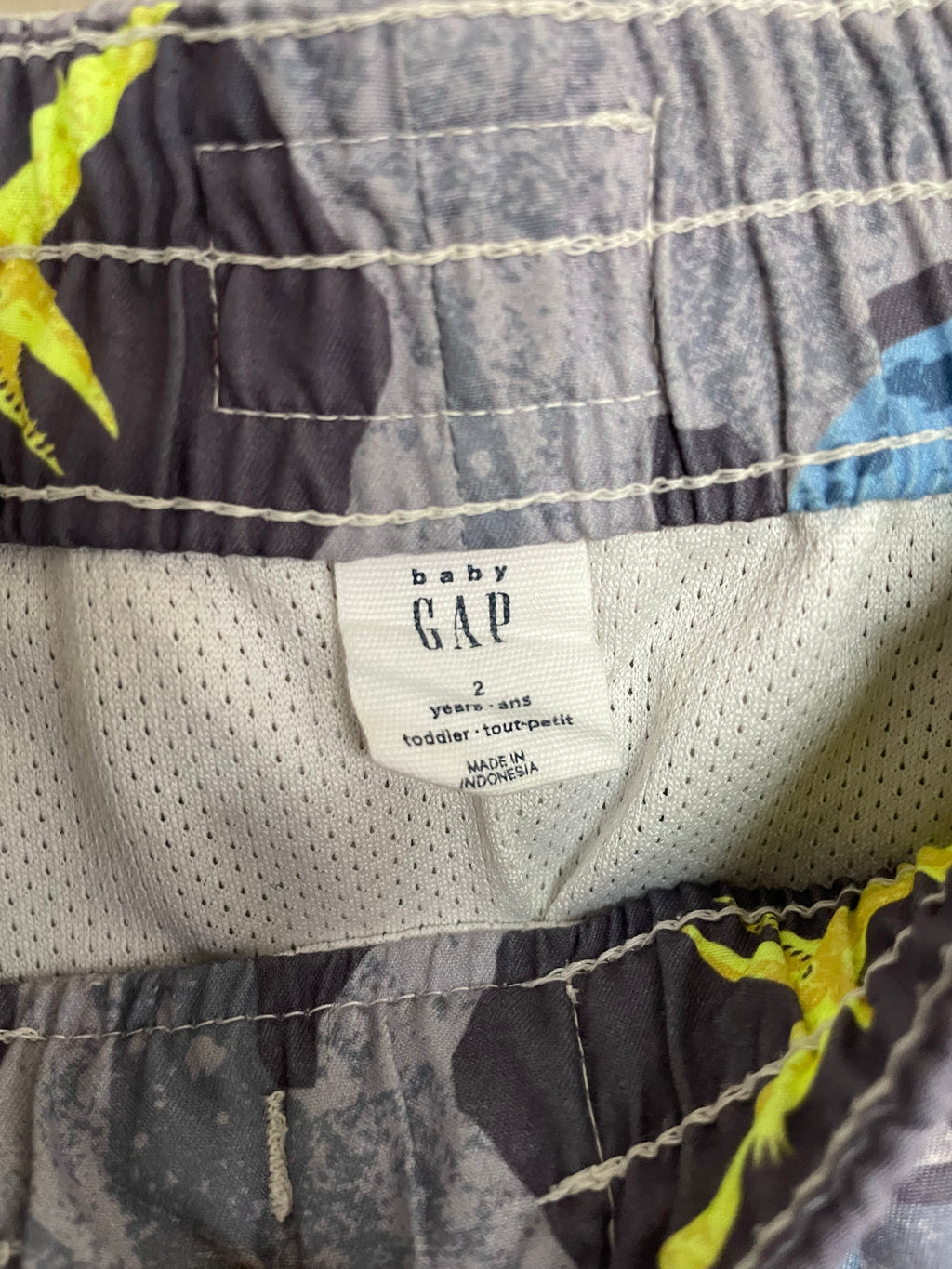 Gap Dinosaur Swim Shorts | 2T
