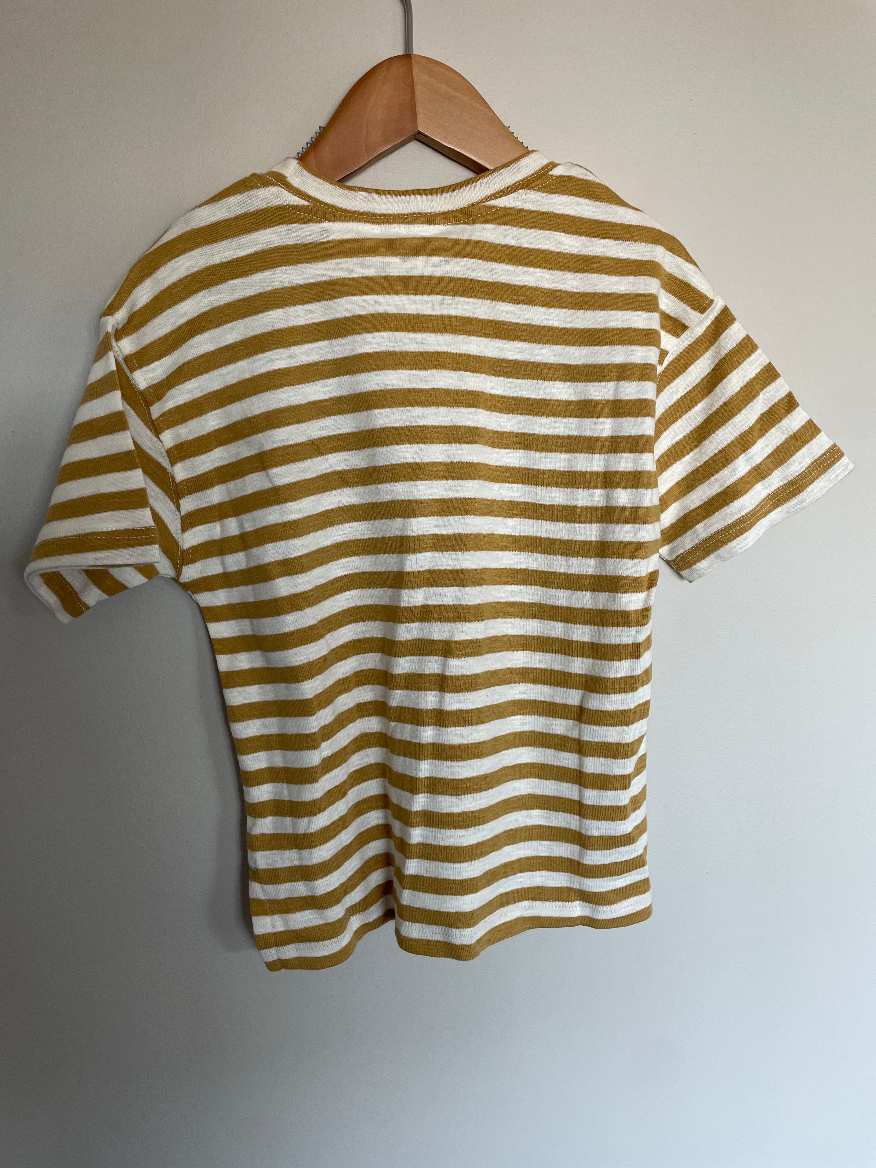 Zara Striped Tee Shirt | 3T