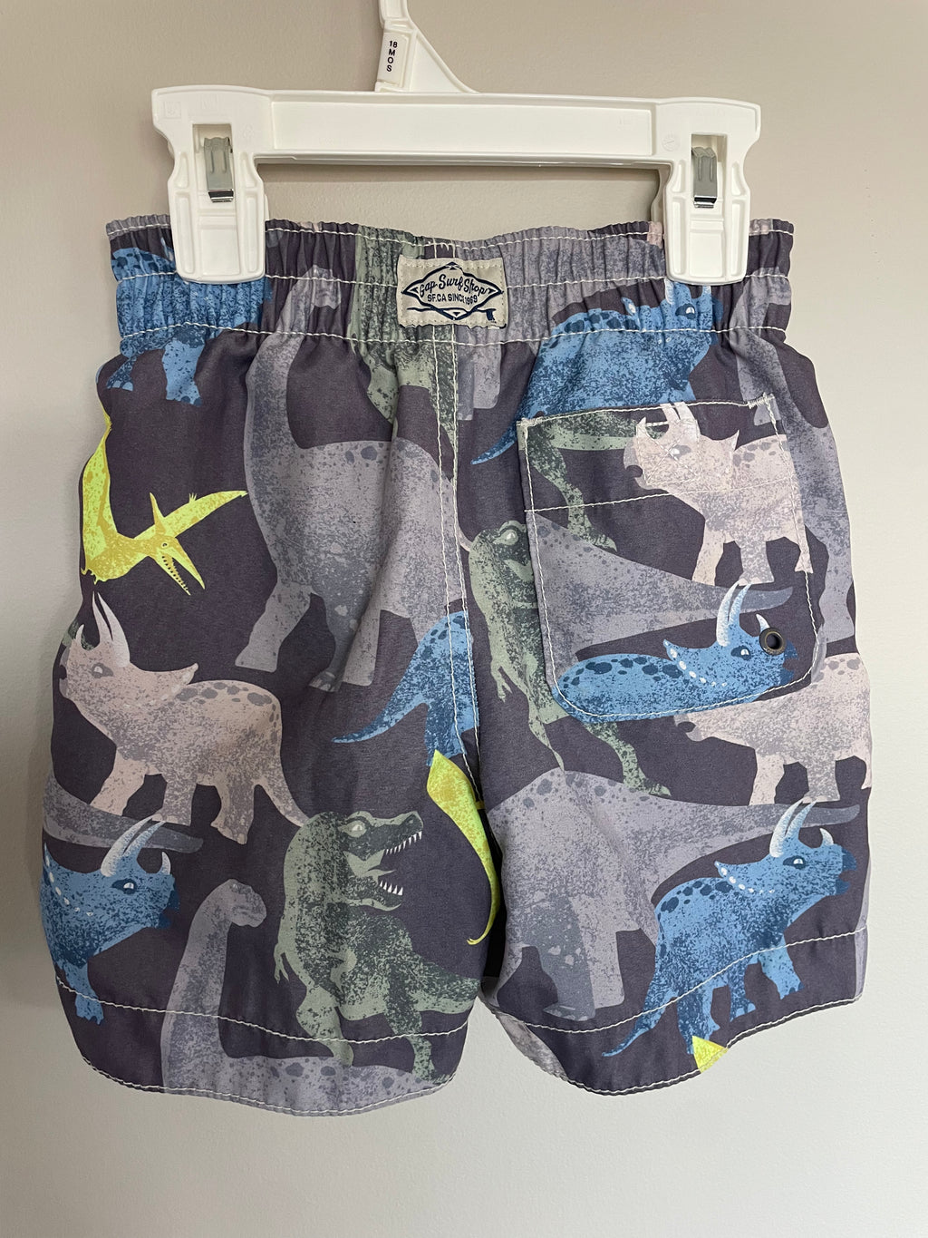 Gap Dinosaur Swim Shorts | 2T
