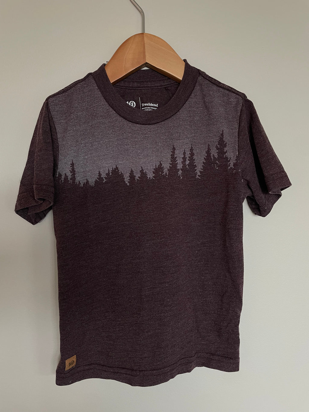 TenTree Burgundy T-Shirt | 3T