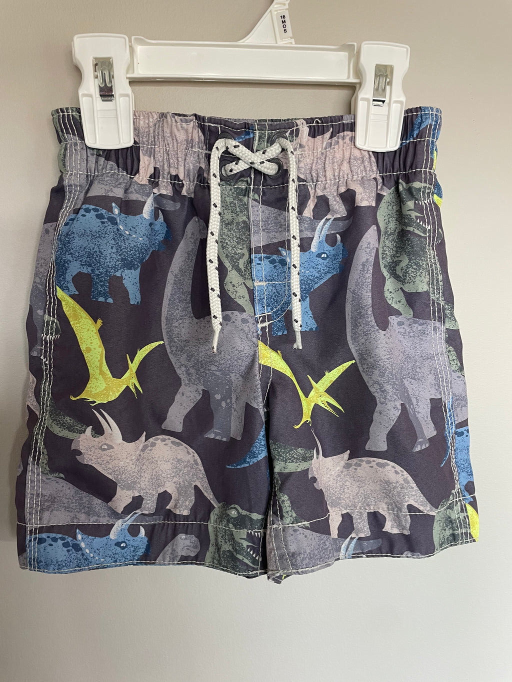 Gap Dinosaur Swim Shorts | 2T
