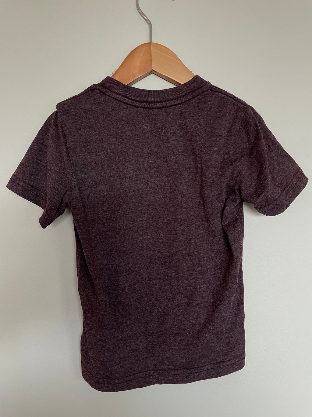 TenTree Burgundy T-Shirt | 3T