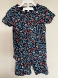 Gap Dinosaur PJ Set | 3T