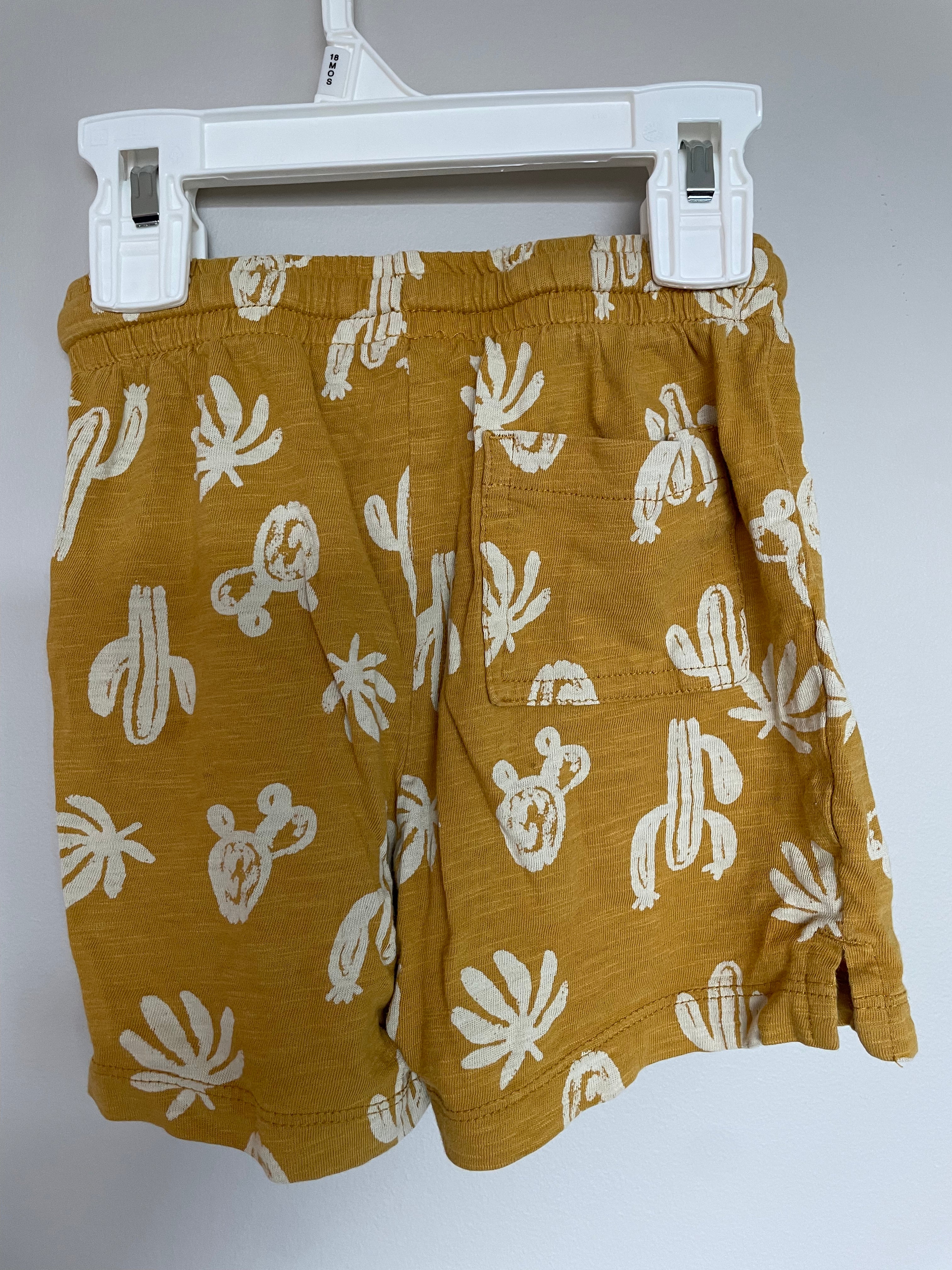 Joe Fresh Set Mustard with Cacti | 3T