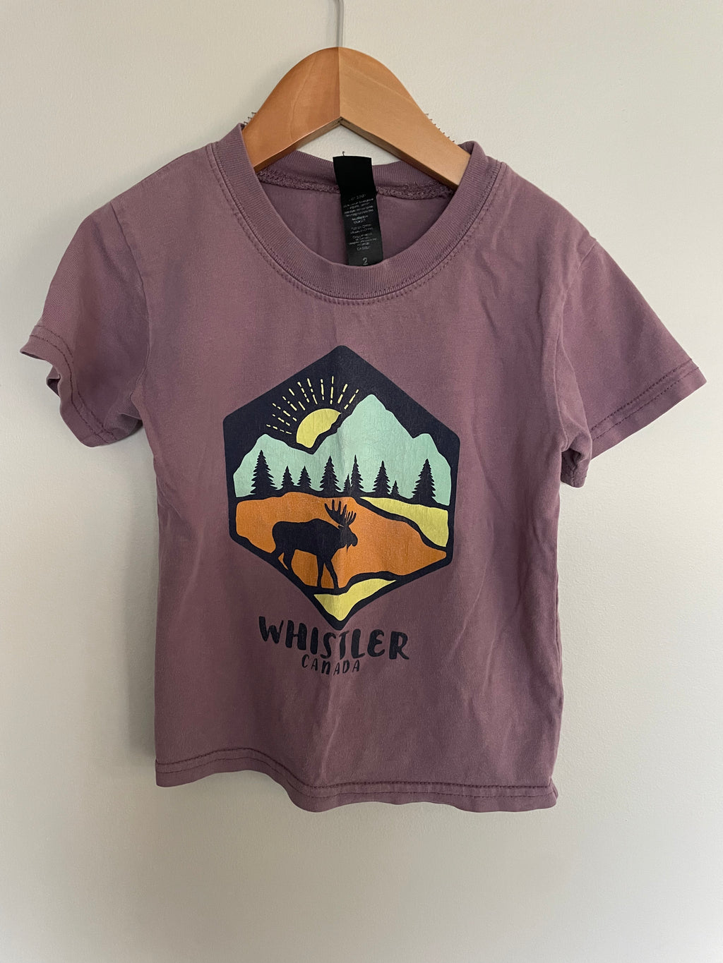 Whistler Mauve Tee Shirt | 2T