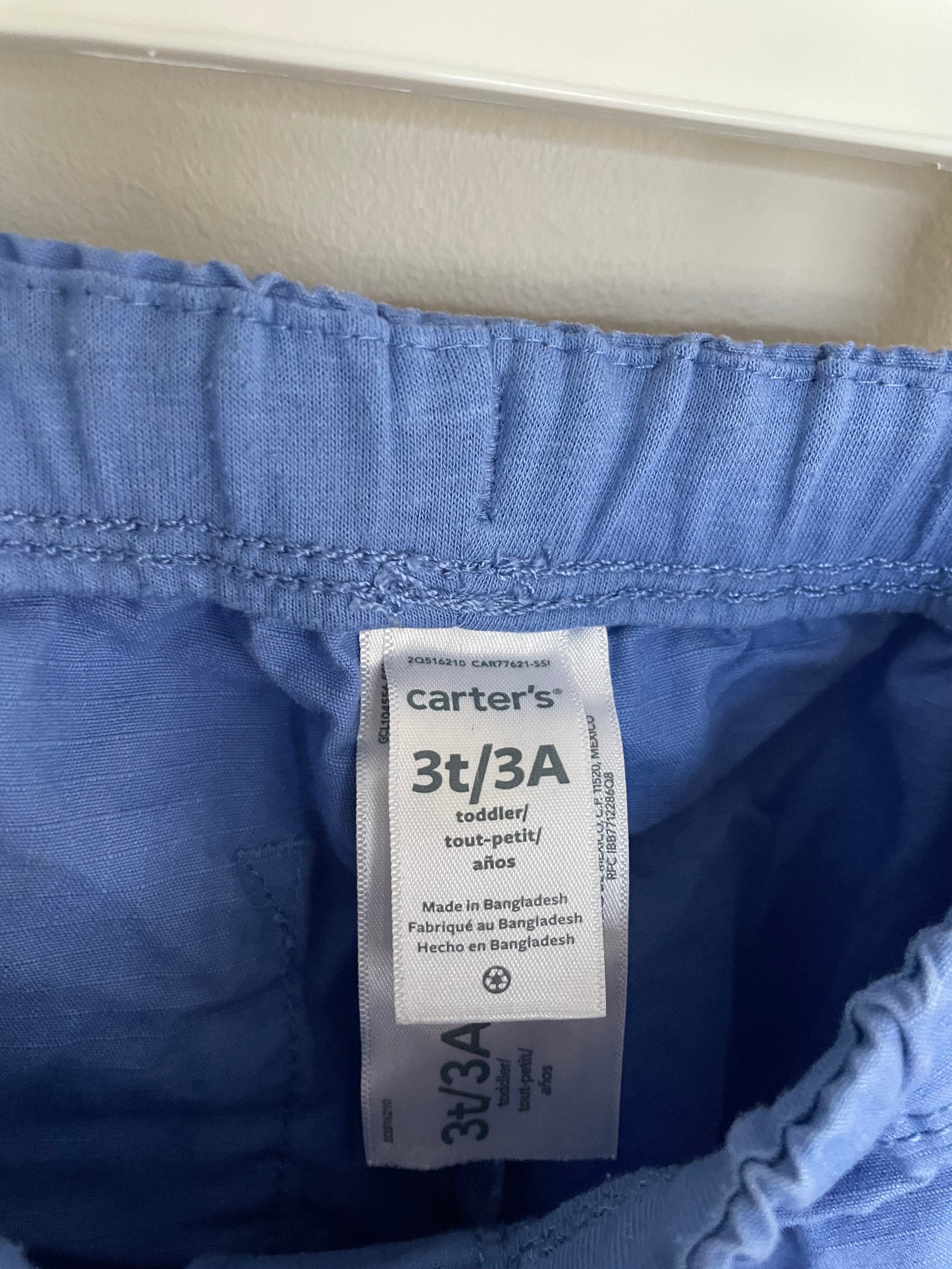 Carter's Blue Shorts | 3T