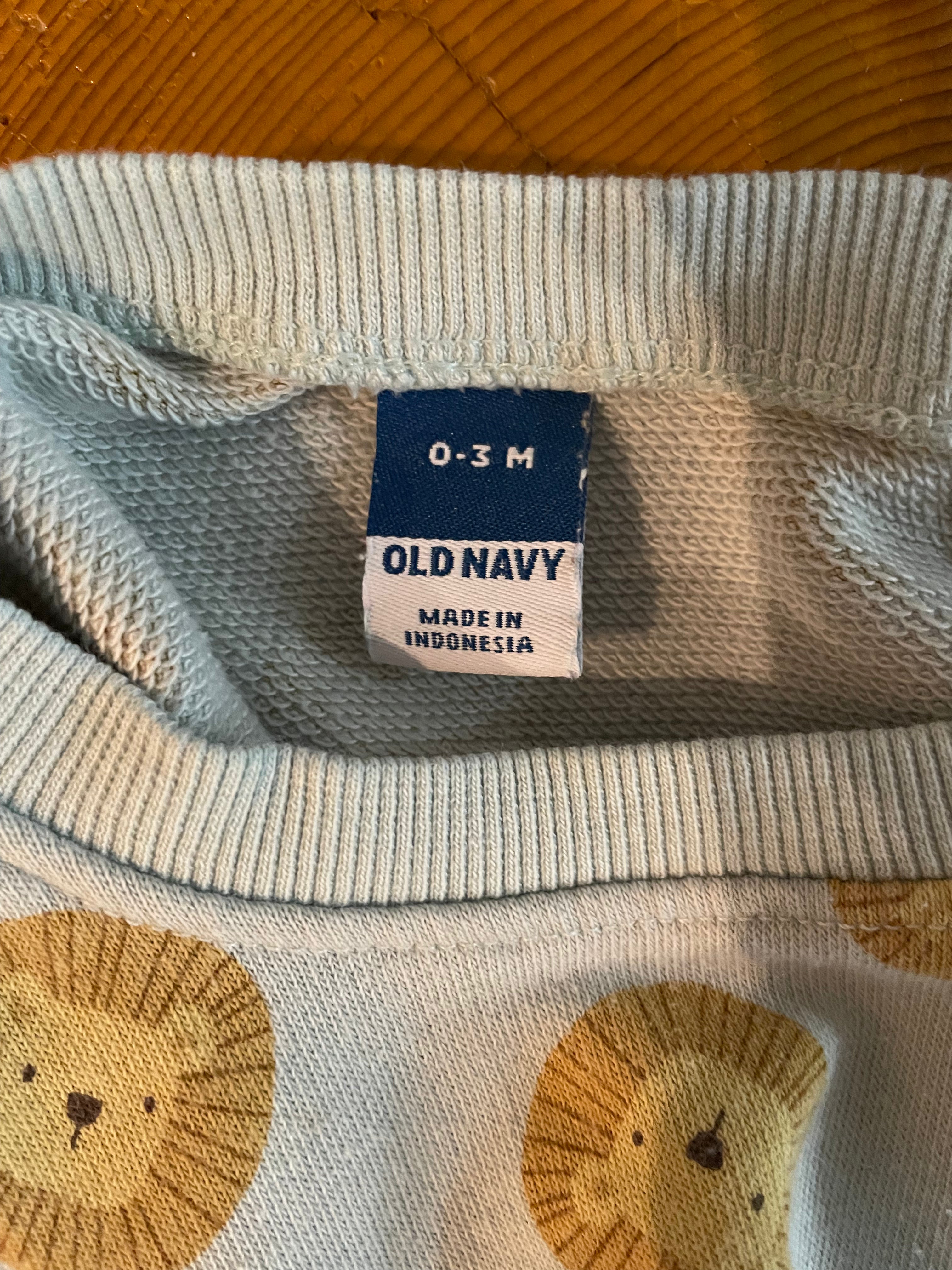 Old Navy Lion Crewneck Set | 0-3M